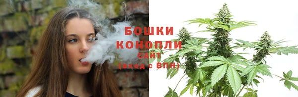 твердый Белокуриха