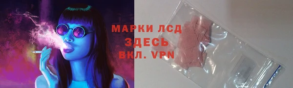 твердый Белокуриха