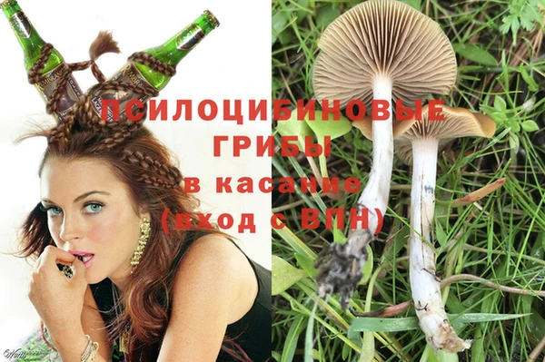 индика Покровск