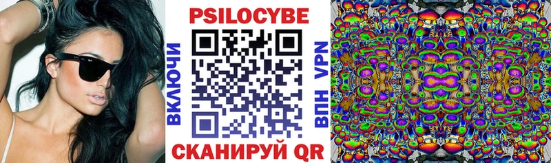 Псилоцибиновые грибы Psilocybe  мега tor  Светогорск  дарнет шоп 